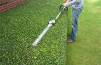 Gardening services in your property in Crete